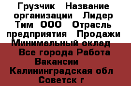 Грузчик › Название организации ­ Лидер Тим, ООО › Отрасль предприятия ­ Продажи › Минимальный оклад ­ 1 - Все города Работа » Вакансии   . Калининградская обл.,Советск г.